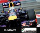 Sebastian Vettel - Red Bull - Grand Prix της Ουγγαρίας το 2013, 3η ταξινομούνται